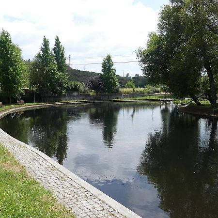 Zen Guest House Em Leiria 大佩德罗冈 外观 照片