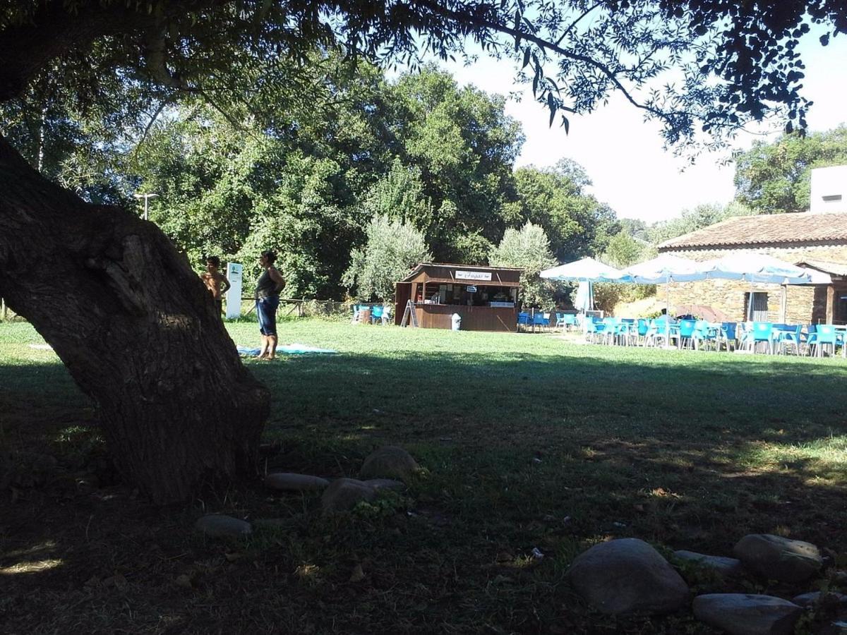 Zen Guest House Em Leiria 大佩德罗冈 外观 照片